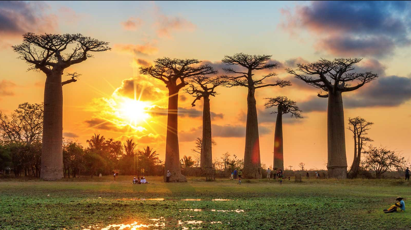 Schermafbeelding 2018-06-20 om 19.46.57