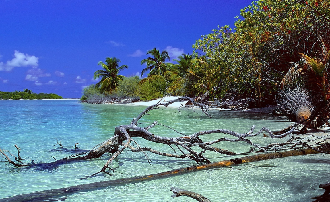 Schermafbeelding 2018-09-08 om 00.32.52.png